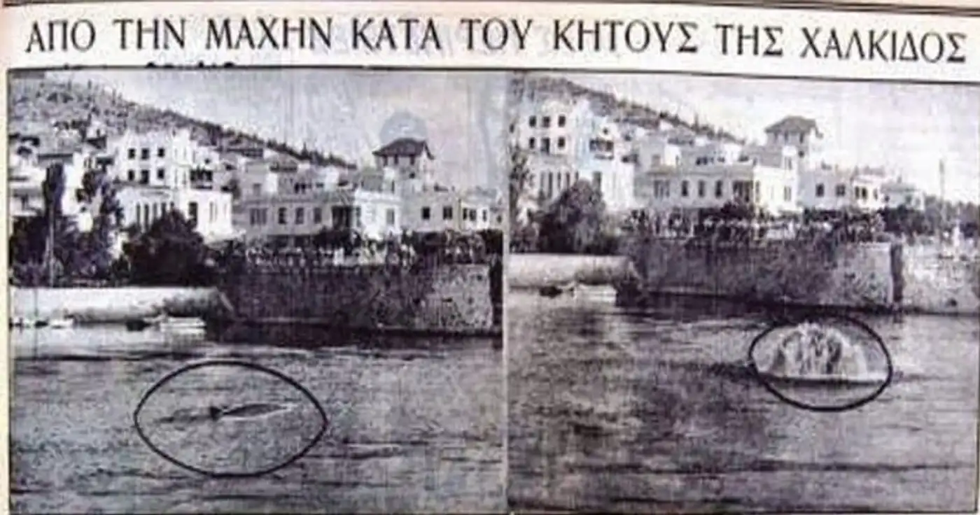 Ένα τέρας στην παραλία της Χαλκίδας