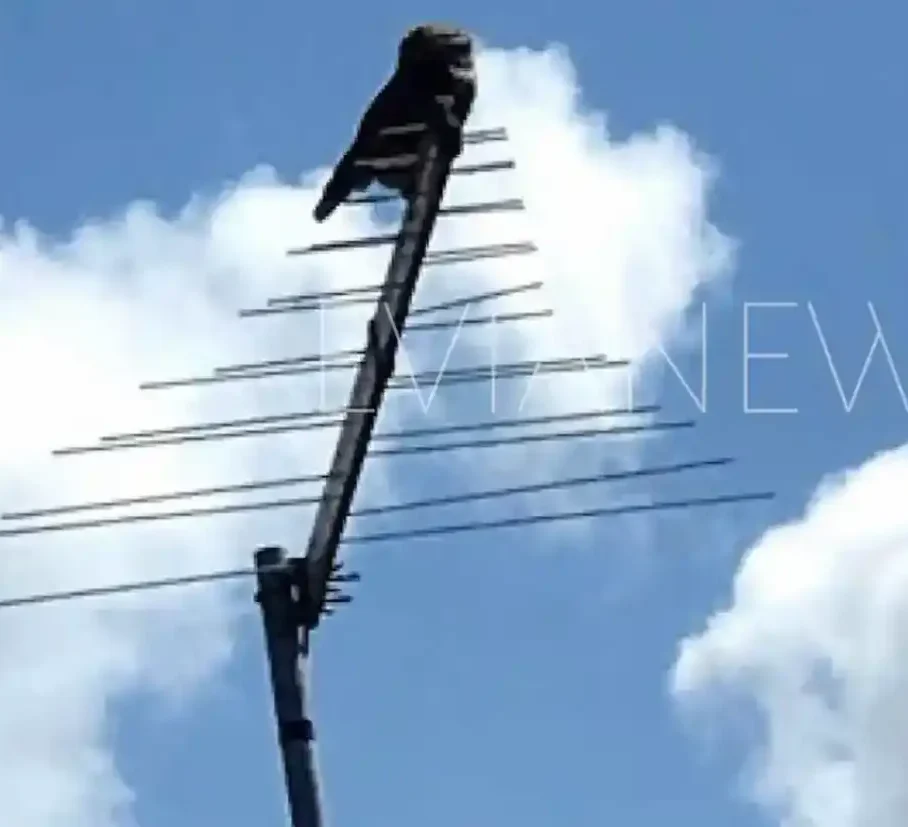 Αυτό είναι το χωριό με το πιο παρεξηγημένο όνομα στην Εύβοια