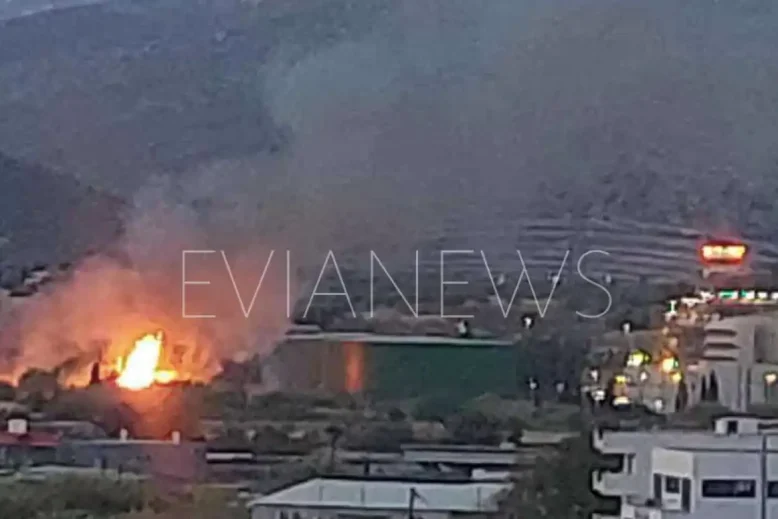 Συναγερμός σήμανε για φωτιά στο Αλιβέρι
