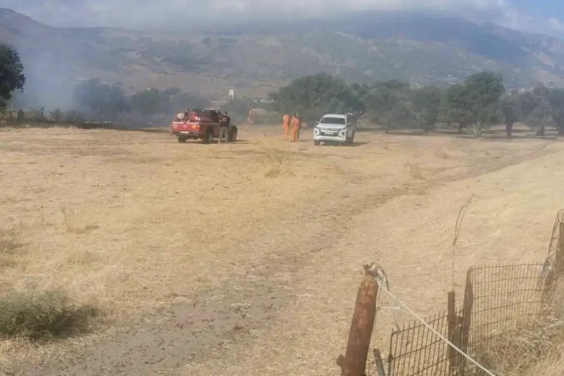 Φωτιά τώρα στην Εύβοια στον Κολοβρέχτη