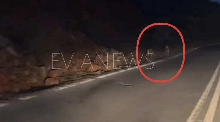 Ελάφια