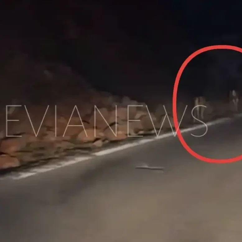 Ελάφια