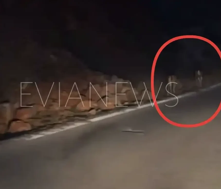Ελάφια