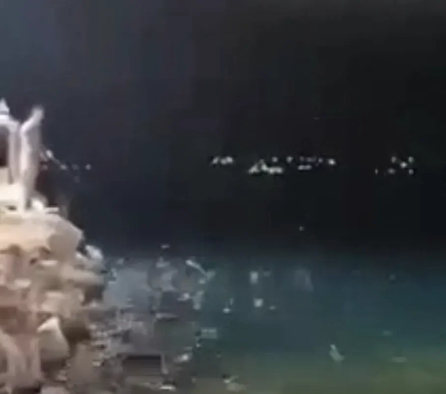 Απίθανο φαινόμενο σε παραλιακό χωριό της Εύβοιας – Ψάρια πετάγονταν έξω από το νερό