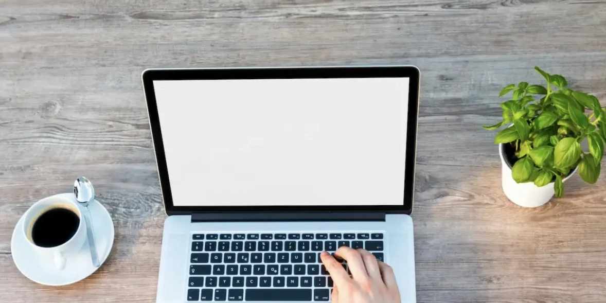 Αποτελέσματα