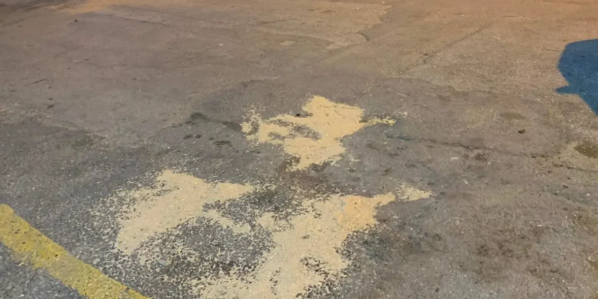 Στη Χαλκίδα όπου η διάβαση δεν σημαίνει τίποτα – Σοκαριστικό ρεπορτάζ!