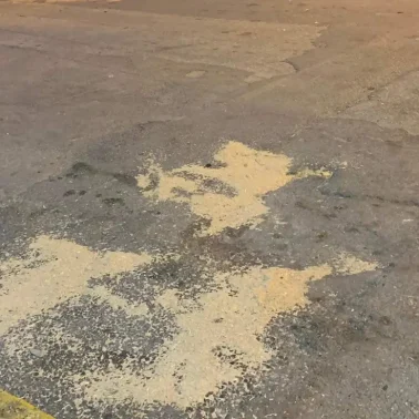 Στη Χαλκίδα όπου η διάβαση δεν σημαίνει τίποτα – Σοκαριστικό ρεπορτάζ!