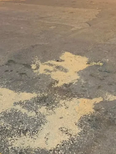 Στη Χαλκίδα όπου η διάβαση δεν σημαίνει τίποτα – Σοκαριστικό ρεπορτάζ!