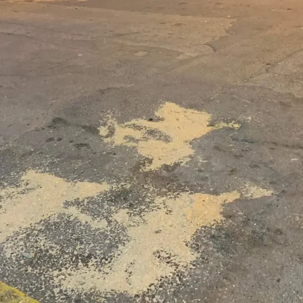 Στη Χαλκίδα όπου η διάβαση δεν σημαίνει τίποτα – Σοκαριστικό ρεπορτάζ!