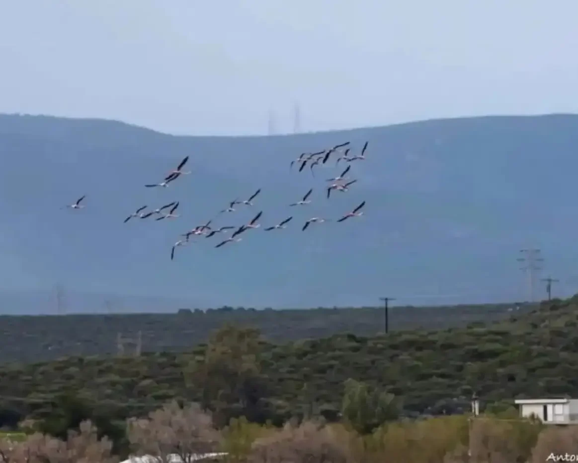 Άφωνοι έμειναν με το θέαμα πάνω από τα κεφάλια τους