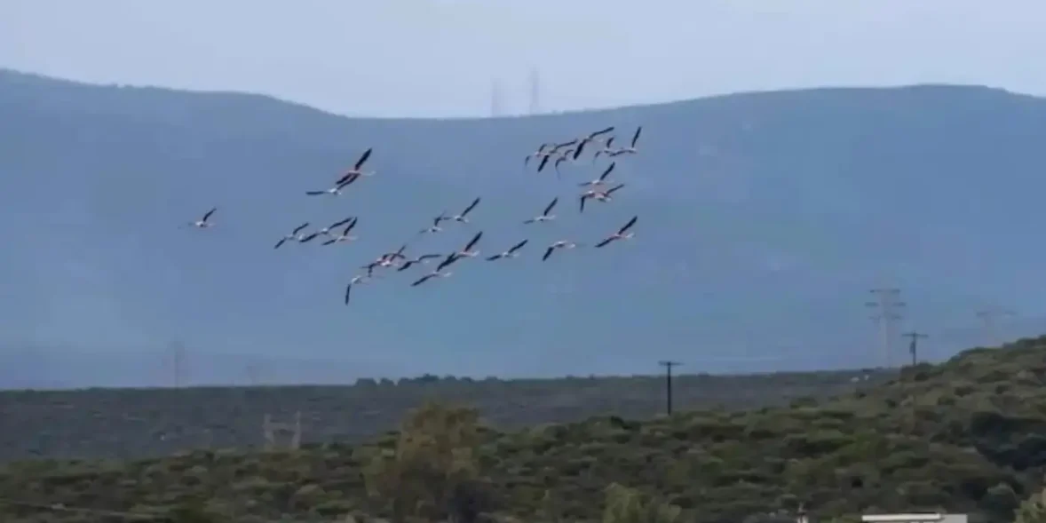 Άφωνοι έμειναν με το θέαμα πάνω από τα κεφάλια τους
