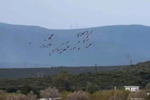 Άφωνοι έμειναν με το θέαμα πάνω από τα κεφάλια τους