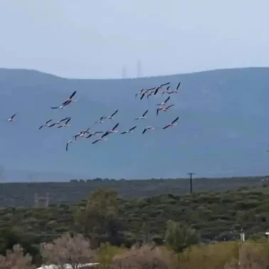 Άφωνοι έμειναν με το θέαμα πάνω από τα κεφάλια τους