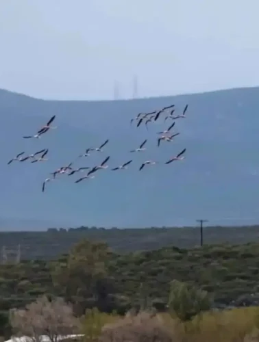Άφωνοι έμειναν με το θέαμα πάνω από τα κεφάλια τους