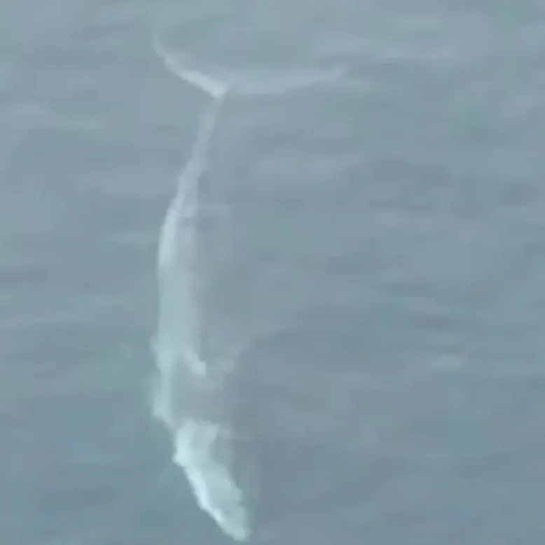 Εύβοια: Αυτό ήταν το μεγαλύτερο θηρίο που έχει βρεθεί