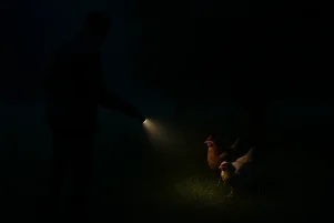 Η πιο περίεργη κλοπή που έχει γίνει στην Εύβοια