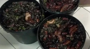 Υπάρχουν θησαυροί που κρύβουν μέσα τους μεγάλη αξία