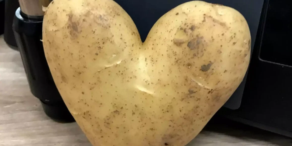 Εύβοια: Η πιο περίεργη πατάτα που είδε στην ζωή του