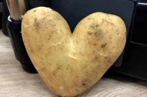 Εύβοια: Η πιο περίεργη πατάτα που είδε στην ζωή του