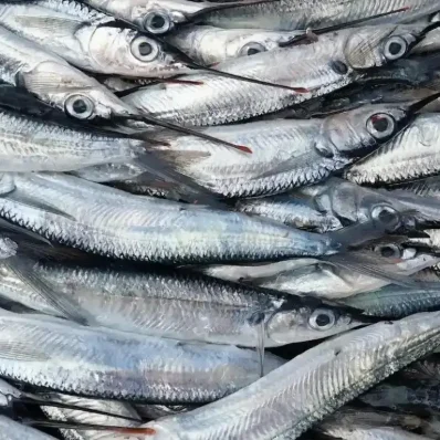 Ψάρια της Εύβοιας που κάνουν θαύματα