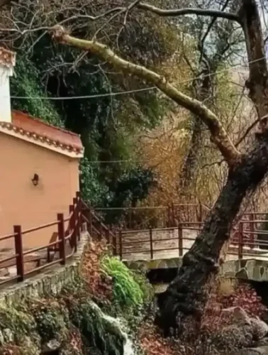 Εκκλησία Αγίας Κυριακής στα Καμπιά Εύβοιας, θαυματουργό εκκλησάκι μέσα στο πράσινο κοντά στη Χαλκίδα