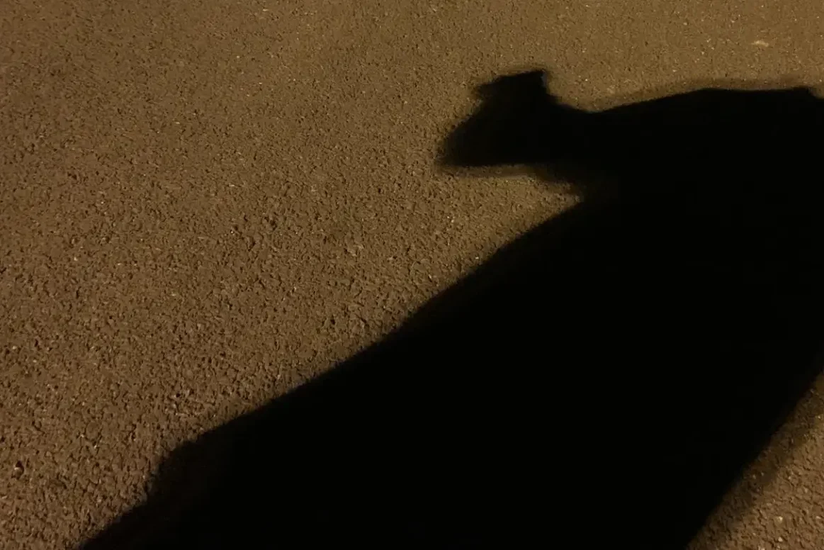 Σε σοκ η Χαλκίδα: Ξυλοκοπούν κάτοικους στους δρόμους