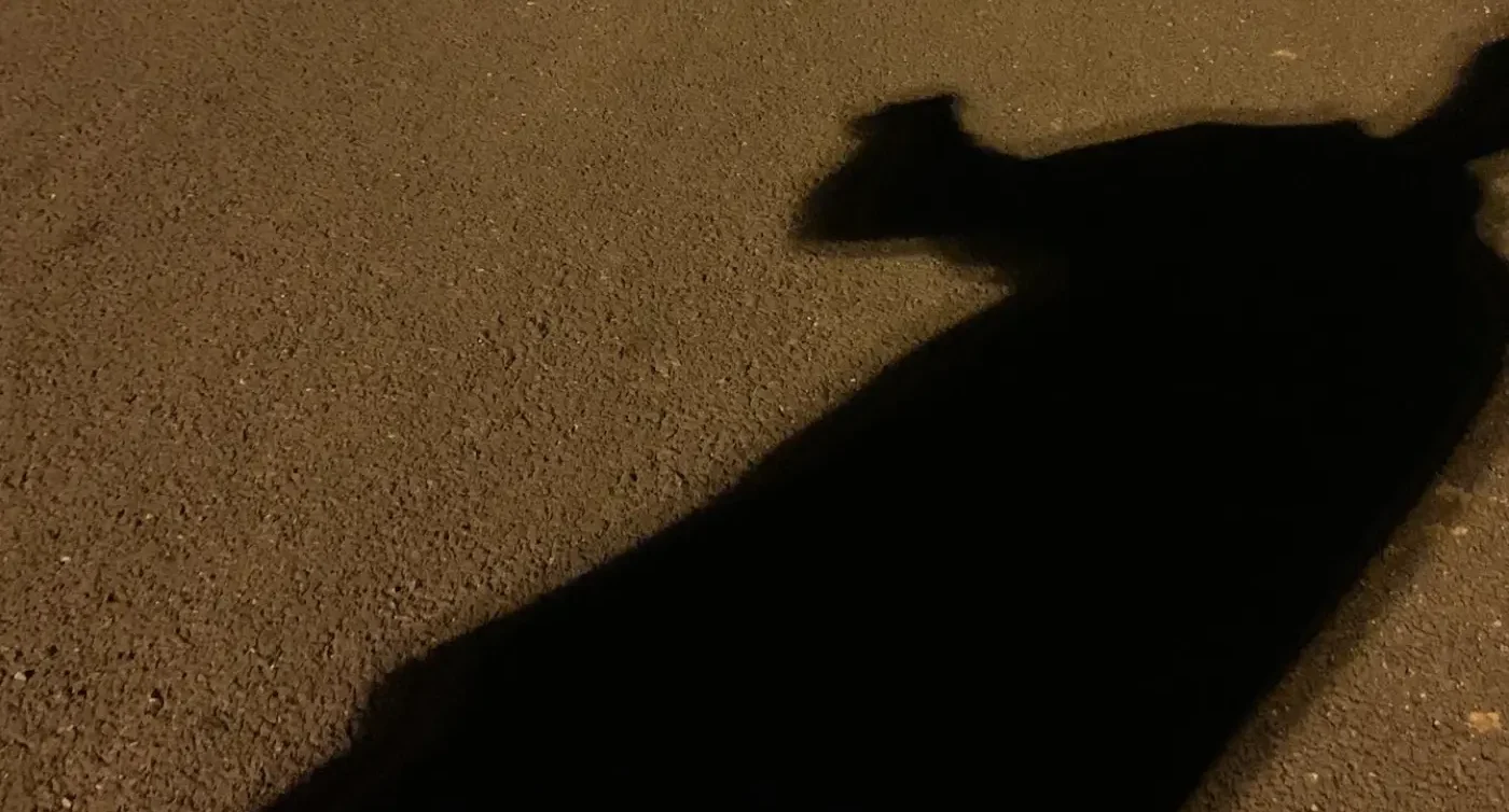 Σε σοκ η Χαλκίδα: Άγρια ληστεία σε άντρα