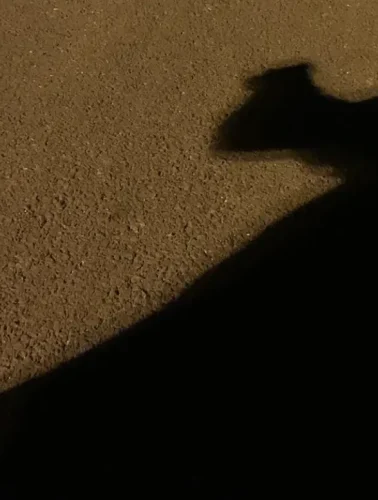 Σε σοκ η Χαλκίδα: Ξυλοκοπούν κάτοικους στους δρόμους