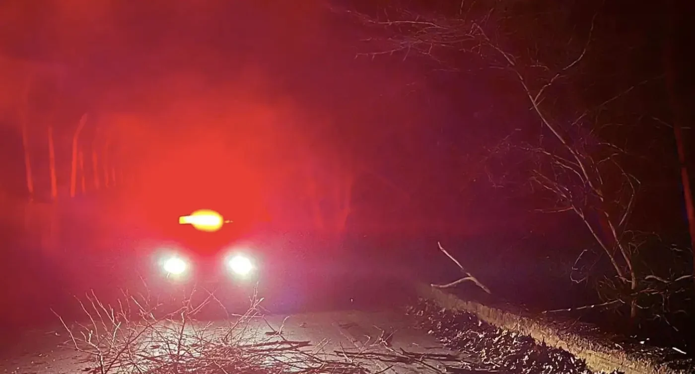 Αναζητήσεις το βράδυ