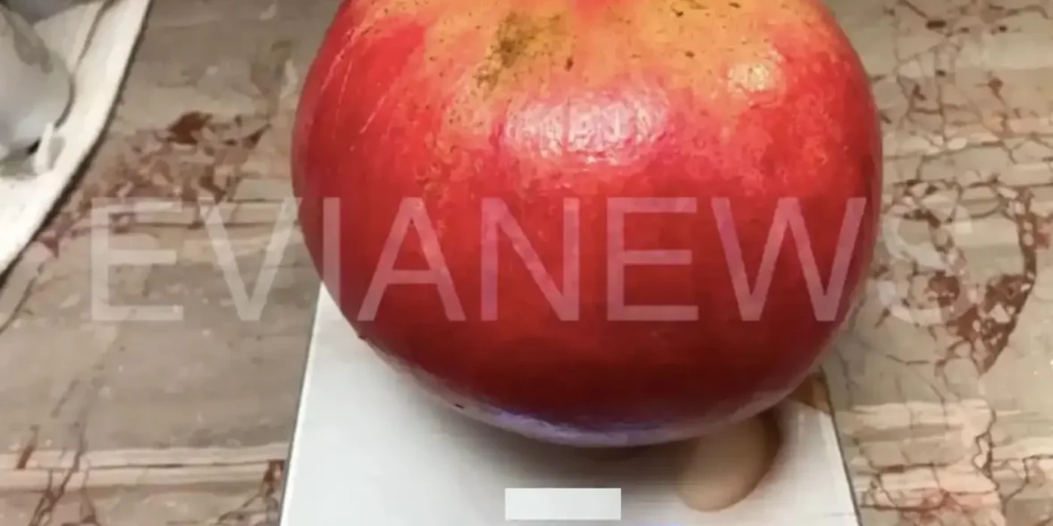 Εύβοια: Ένα αρκετά μεγάλο φρούτο στο χωράφι!