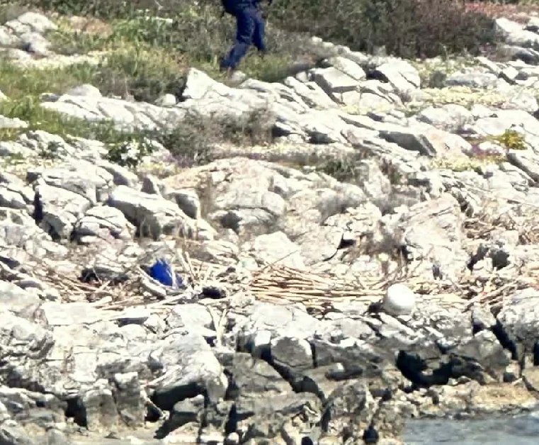 Εύβοια έρευνες