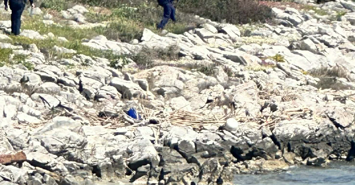 Εύβοια έρευνες