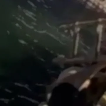 Θάλασσα στην παραλία Χαλκίδας