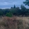 Σήμερα ολοκληρώνεται η προθεσμία που έχει δοθεί για τον καθαρισμό οικοπέδων από ιδιοκτήτες, επικαρπωτές, μισθωτές και υπομισθωτές, με το Υπουργείο Κλιματικής Κρίσης και Πολιτικής Προστασίας να ξεκαθαρίζει ότι δεν πρόκειται να δοθεί νέα παράταση.