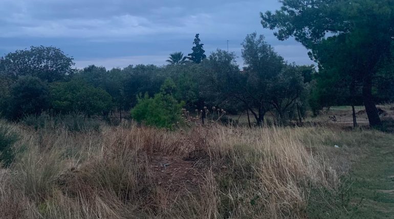 Σήμερα ολοκληρώνεται η προθεσμία που έχει δοθεί για τον καθαρισμό οικοπέδων από ιδιοκτήτες, επικαρπωτές, μισθωτές και υπομισθωτές, με το Υπουργείο Κλιματικής Κρίσης και Πολιτικής Προστασίας να ξεκαθαρίζει ότι δεν πρόκειται να δοθεί νέα παράταση.