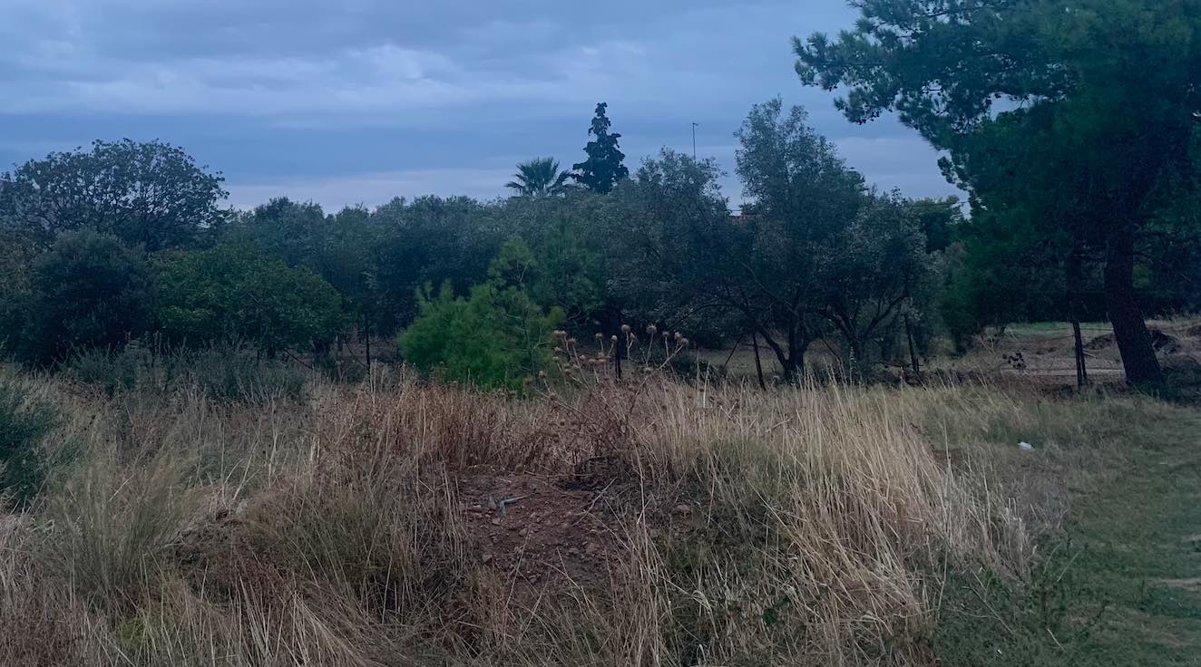 Σήμερα ολοκληρώνεται η προθεσμία που έχει δοθεί για τον καθαρισμό οικοπέδων από ιδιοκτήτες, επικαρπωτές, μισθωτές και υπομισθωτές, με το Υπουργείο Κλιματικής Κρίσης και Πολιτικής Προστασίας να ξεκαθαρίζει ότι δεν πρόκειται να δοθεί νέα παράταση.