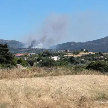 Μεγάλη φωτιά στην Νότια Εύβοια, καίγεται δάσος