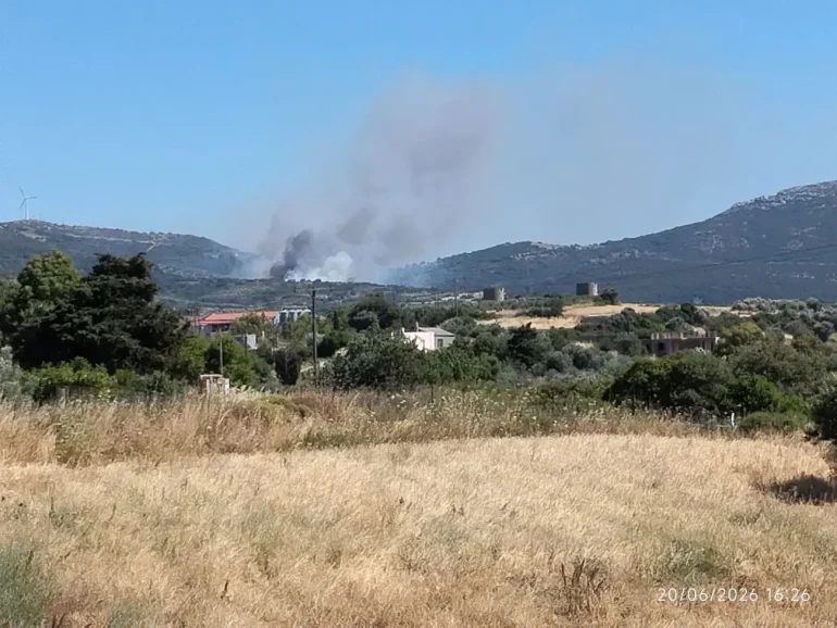 Μεγάλη φωτιά στην Νότια Εύβοια, καίγεται δάσος