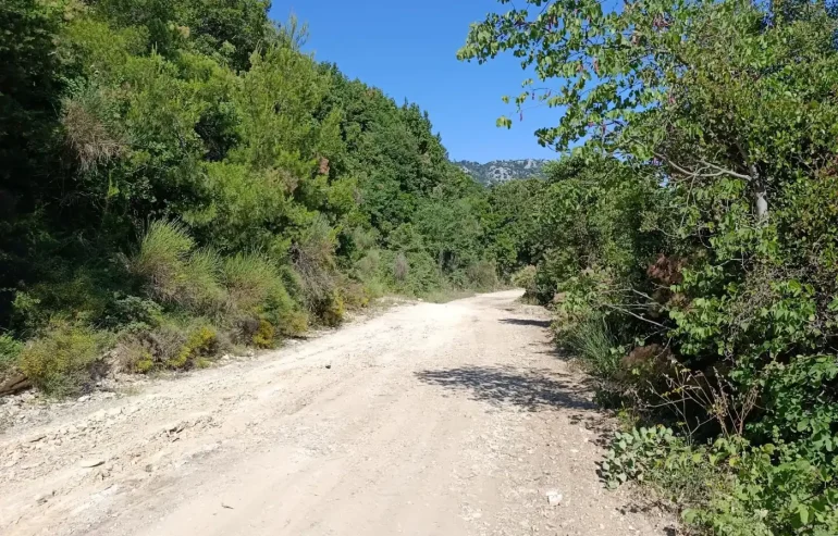 Θαψά