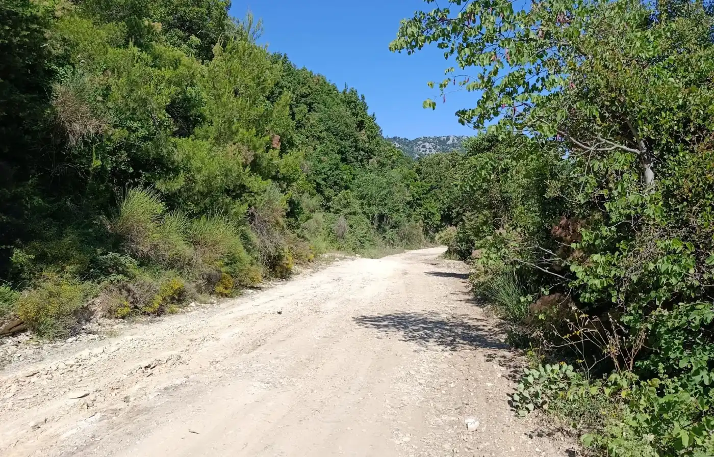 Θαψά