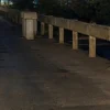 Πατίνι